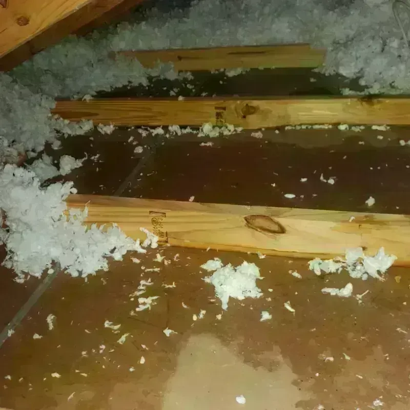 Attic Water Damage in Quinton, OK