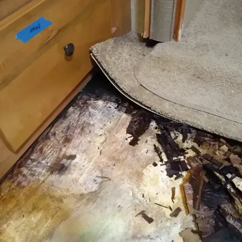 Wood Floor Water Damage in Quinton, OK